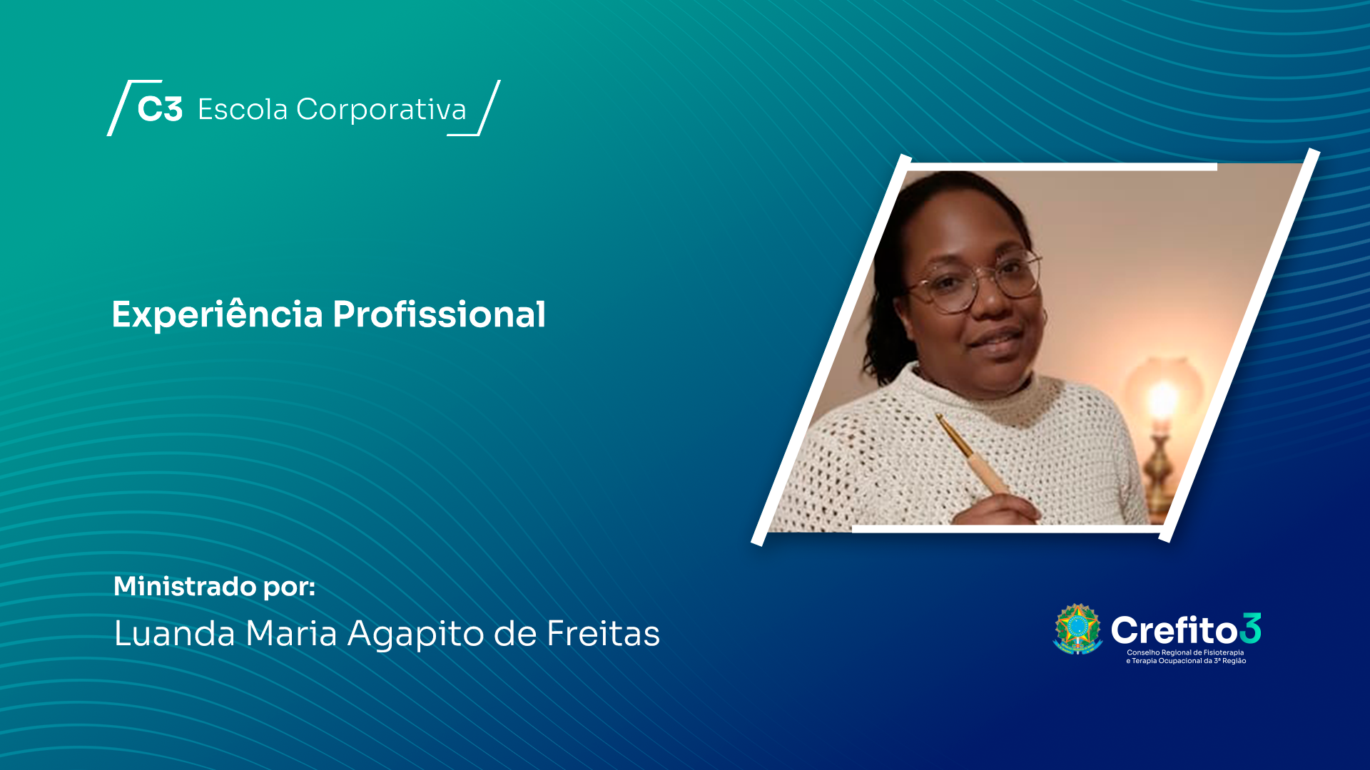 Experiência Profissional 